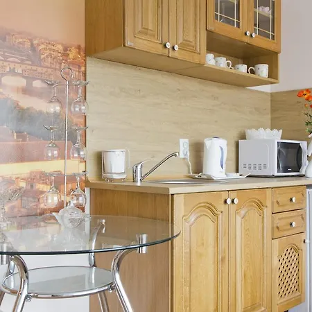Apartment Penthouse Suites Sofia